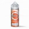 Juice Co Mango & Lychee 100ml Freebase E-liquid