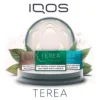 Terea Heated Tobacco Sticks for the IQOS Iluma