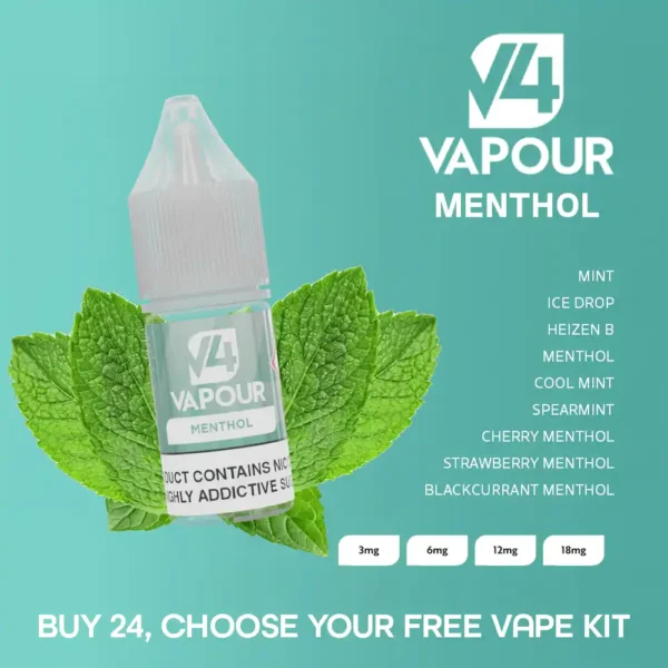 V4 Menthol 10ml e-liquid