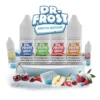 Dr Frost Arctic Edition 10ml