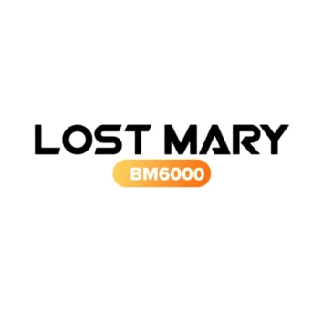 Lost Mary