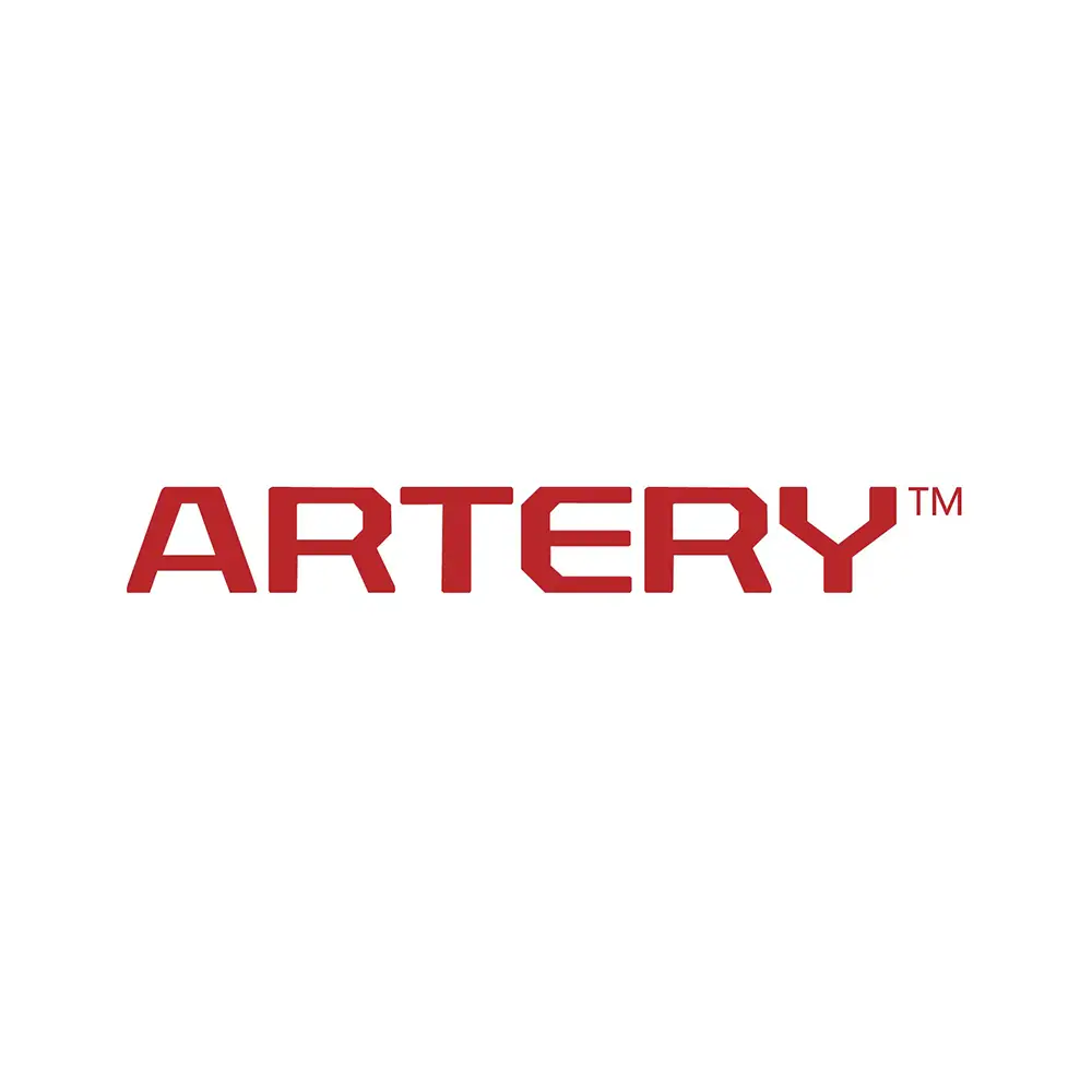 Artery